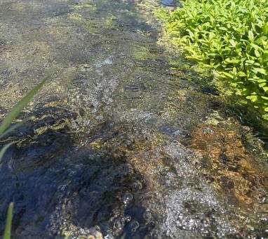 澄んだ流れに揺れる光 澄んだ流れに揺れる光の写真