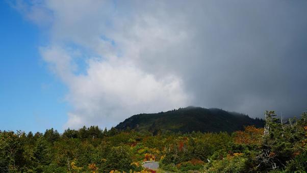 紅葉と青空 紅葉と青空の写真