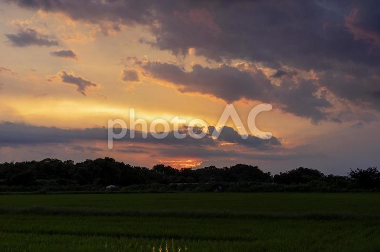 夏の夕暮れ 夕暮れ,夕方,黄昏の写真素材
