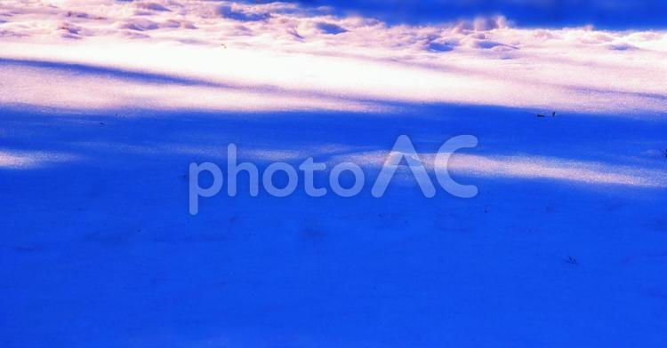 雪面の木漏れ日 木漏れ日,冬,雪の写真素材