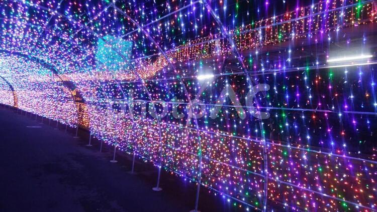 多摩センター　イルミネーション　冬　キレイ　綺麗　寒い　クリスマス イルミネーション,クリスマス,冬の写真素材
