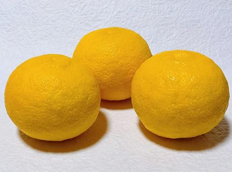 柚子 柚子,果物,ミカン科の写真素材