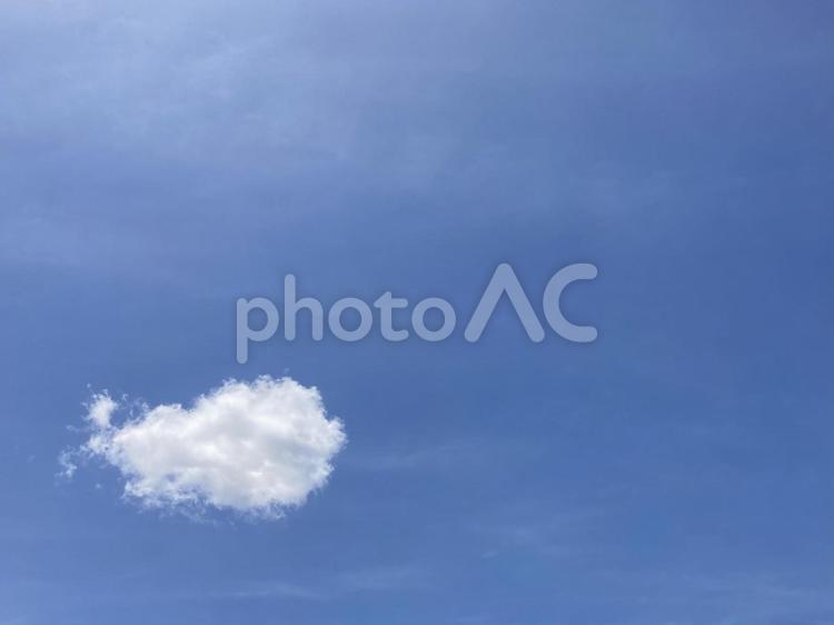 青空に浮かぶふわふわクジラ雲 空,ふわふわ,青空の写真素材