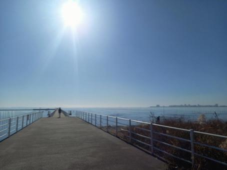 海 海の写真