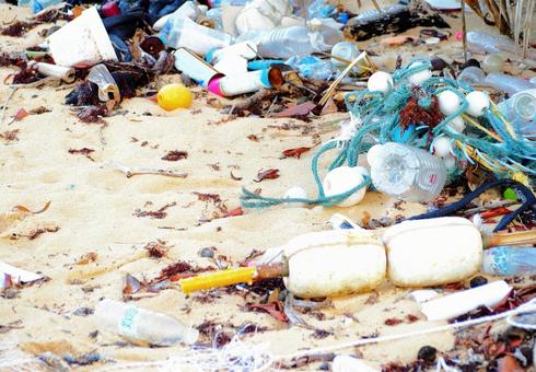 Image of marine debris scattered on the beach, JPG