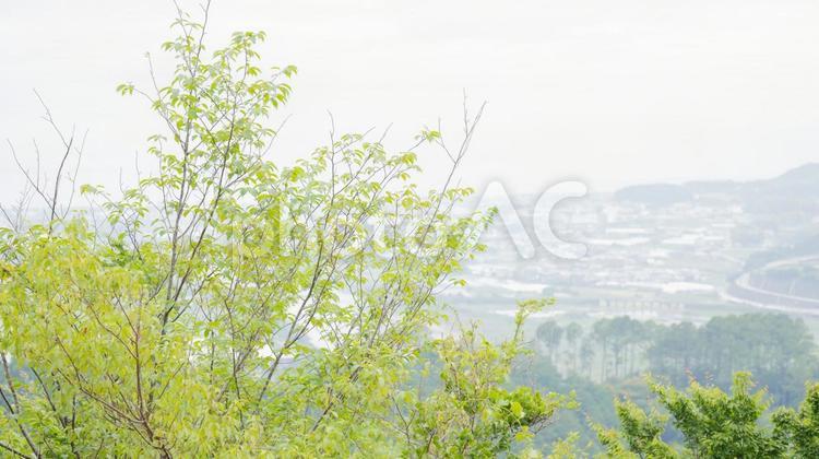 登山した先に見た山間の風景 風景,自然,緑の写真素材