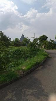 夏の空と植物たち 夏の空と植物たち 風景,自然,植物の写真素材