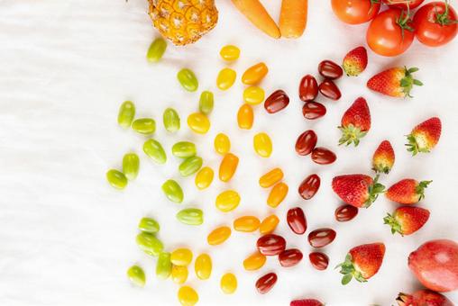 カラフルなトマトやフルーツ 野菜,フルーツ,ミニトマトの写真素材