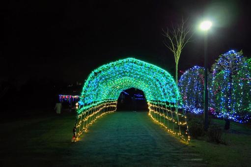霞ヶ浦クリスマスイルミネーション・土浦市 冬,クリスマス,イルミネーションの写真素材