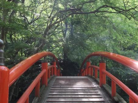 夏の河鹿橋(伊香保温泉) 夏の河鹿橋(伊香保温泉)の写真