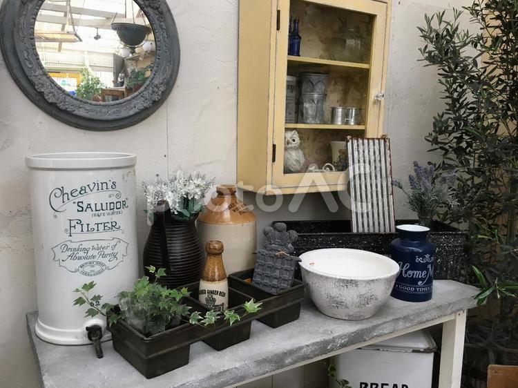 住まいの雑貨 雑貨,部屋,植物の写真素材