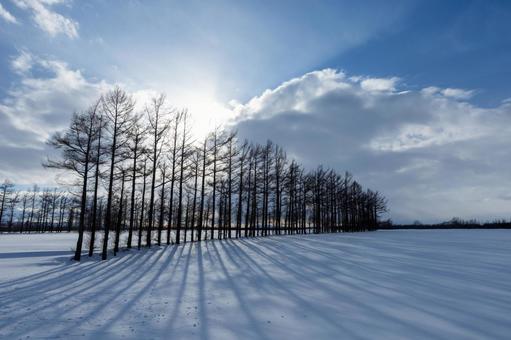 雪原に映す太陽の光と影 太陽,青空,雪原の写真素材