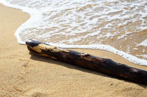 砂浜に打ち上げられた流木と打ち寄せる波 砂浜に打ち上げられた流木と打ち寄せる波 砂浜,流木,波の写真素材