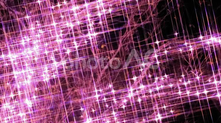 冬のイルミネーション　2024　83 クリスマス,冬,イルミネーションの写真素材
