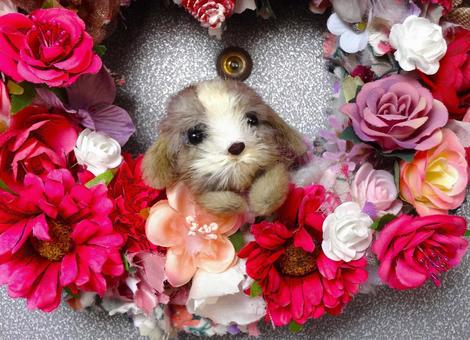仔犬 仔犬 子犬,いぬ,手の写真素材