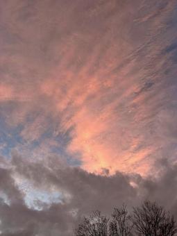 夕方 夕方の写真