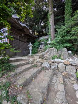 大甕神社境内 大甕神社境内 日本,美しい,風景の写真素材