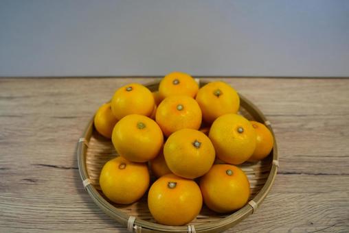 和歌山県産の極早生のYN26みかん みかん,yn26,果物の写真素材