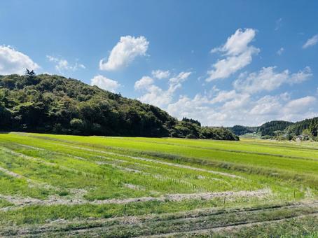 美しい風景 美しい風景の写真