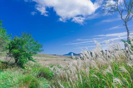 高原の風景とススキ ススキ,美ヶ原高原,八ヶ岳高原の写真素材