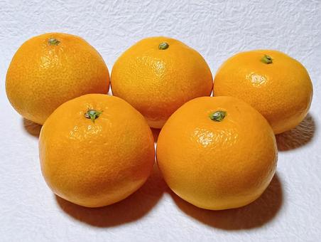 みかん みかん,果実,柑橘類の写真素材