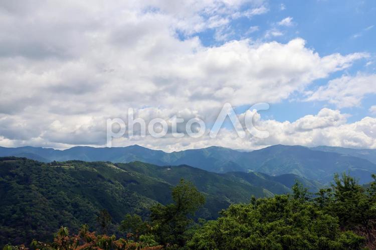 木々が生い茂る南アルプスの山並み 山林,山並み,寸又峡の写真素材