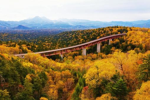 秋の三国峠 秋の三国峠 三国峠,秋,紅葉の写真素材