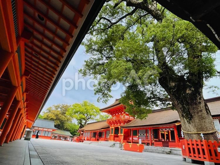 大分　豊前国一ノ宮　宇佐神宮　内宮 大分,豊前国一ノ宮,宇佐神宮の写真素材