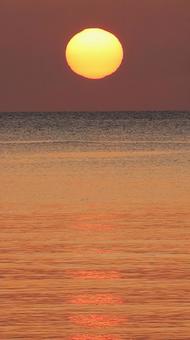 夕日 夕日の写真