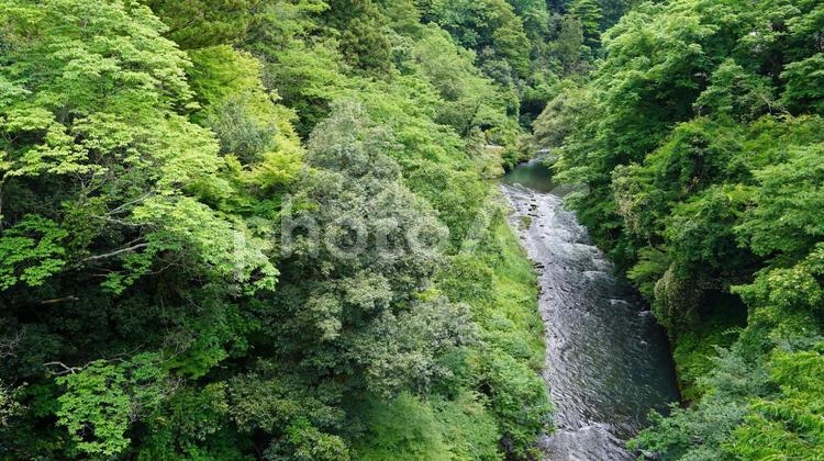 自然の中に流れる滝 風情,絶景,夏の写真素材