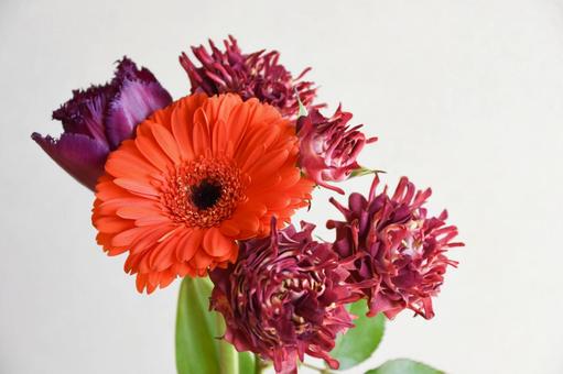 三種の花 三種の花 赤紫,チューリップ,オレンジ色の写真素材