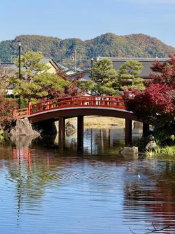 秋の昼間の紫式部公園　11月　紅葉 秋,紫式部公園,紅葉の写真素材