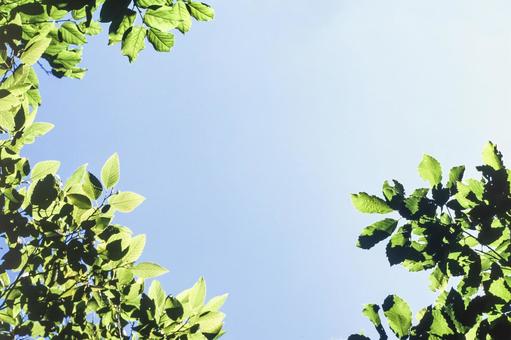 Sunlight 48, JPG