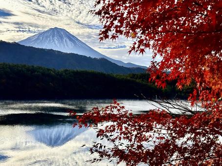 紅葉と西湖と富士山 富士山,紅葉,秋の写真素材