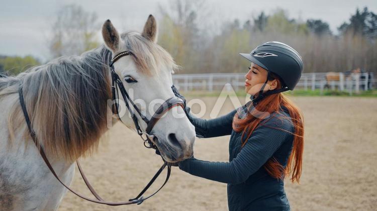 白馬と撫でる騎手の女性 馬,馬の顔,斜めの写真素材