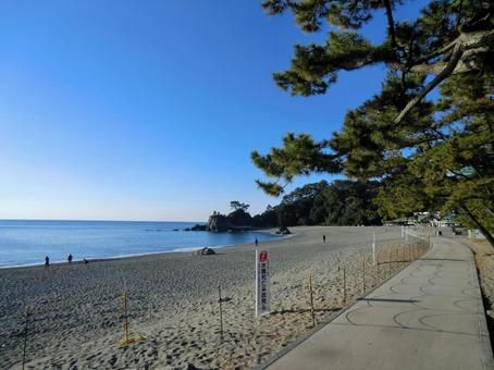 桂浜 桂浜 高知県,高知,桂浜の写真素材