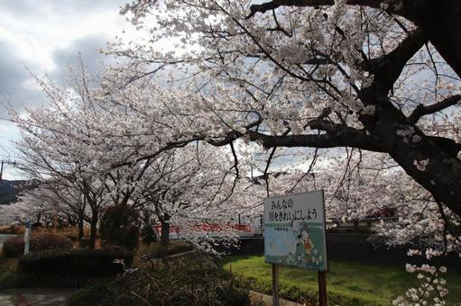 貫南公園 貫南公園 春,北九州,福岡県の写真素材
