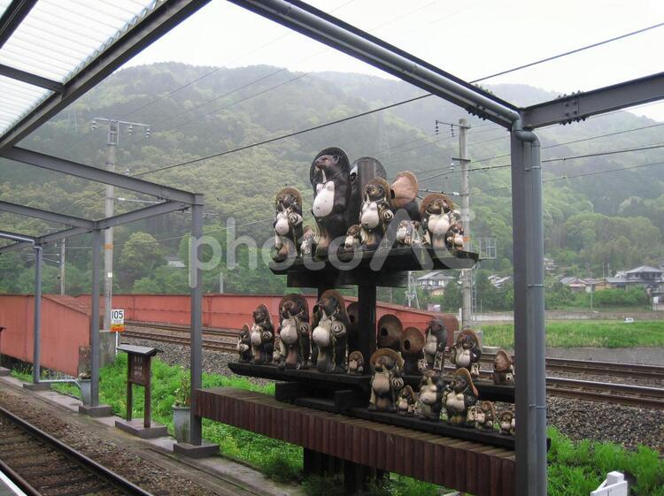 たぬき　置物 トロッコ電車,亀岡駅,たぬきの写真素材