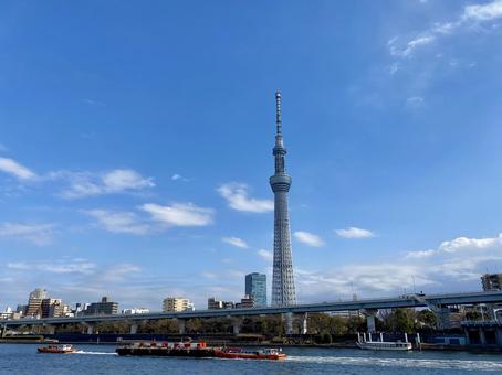 東京スカイツリー 東京スカイツリーの写真