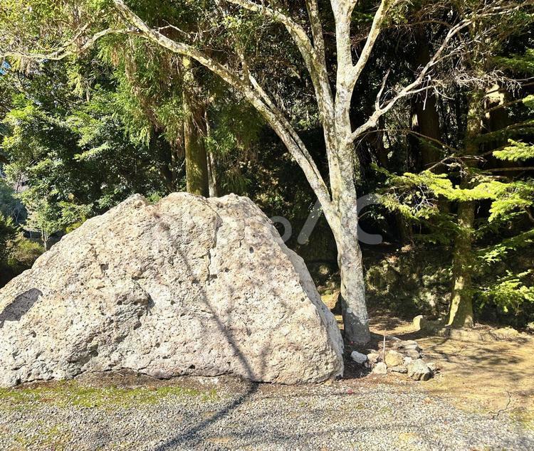 神内神社　子安神社　自然岩　岩窟 神内神社,子安神社,こうのうちじんじゃの写真素材