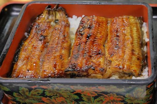 うな重 うな重,鰻,うなぎの写真素材