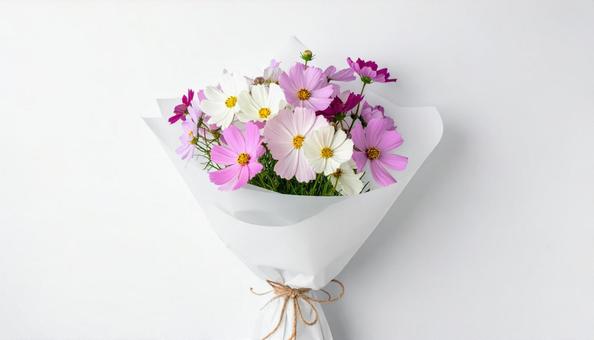 コスモスの花束 コスモスの花束の写真