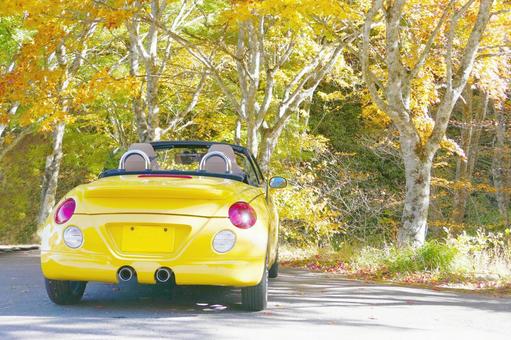 高原の秋 高原の秋 車,秋,オープンカーの写真素材