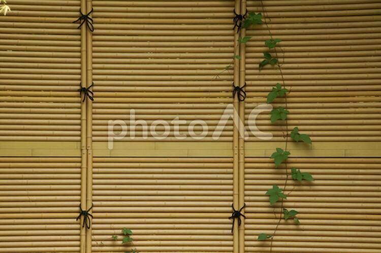 竹垣のような背景素材＿横＿ベージュ 竹垣,竹,和風の写真素材