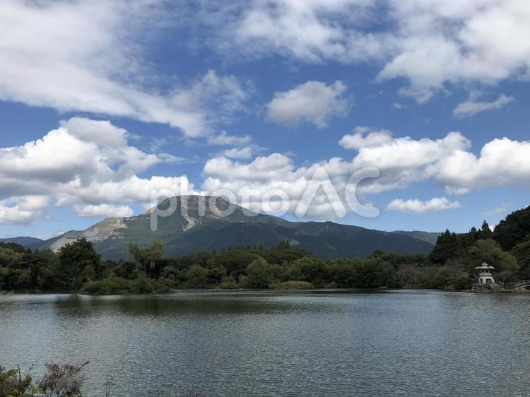 青空の下、滋賀県三島池のほとり 滋賀,三島池,池の写真素材