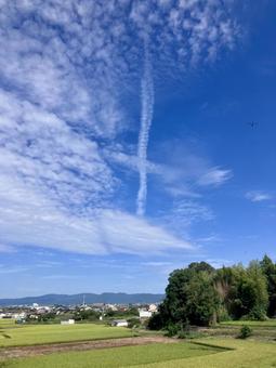 秋の空 秋の空の写真