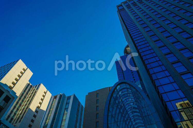 新宿のビル群と秋の空 新宿,秋空,秋の写真素材