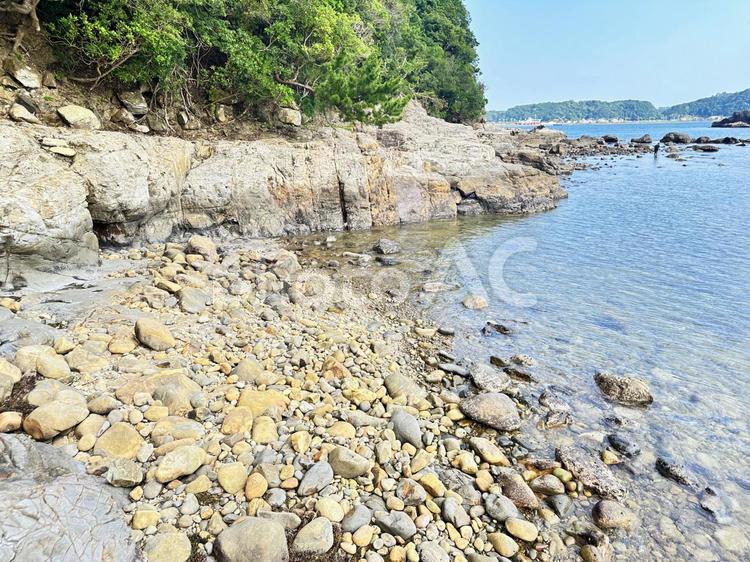 夏山園地　夏の海岸公園 夏の海岸公園,自然,風景の写真素材