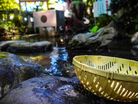 水辺の木ザル 水辺の木ザルの写真