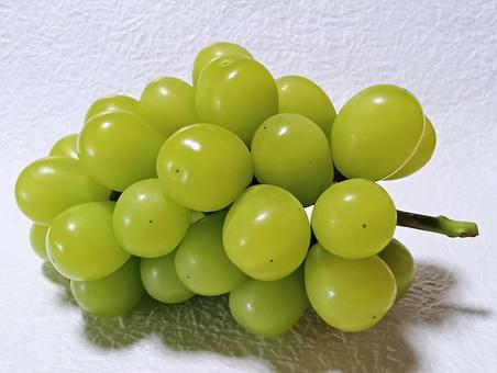 シャインマスカット シャインマスカット,ぶどう,フルーツの写真素材